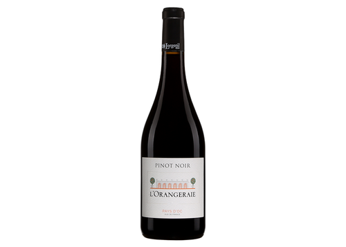Pays D'Oc - Maison Lorgeril Orangeraie - Pinot Noir - Vin Rouge 75cl