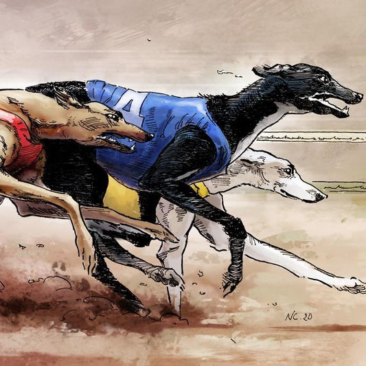 Best Bitter - Ambrée 75cl - Brasserie Skumenn