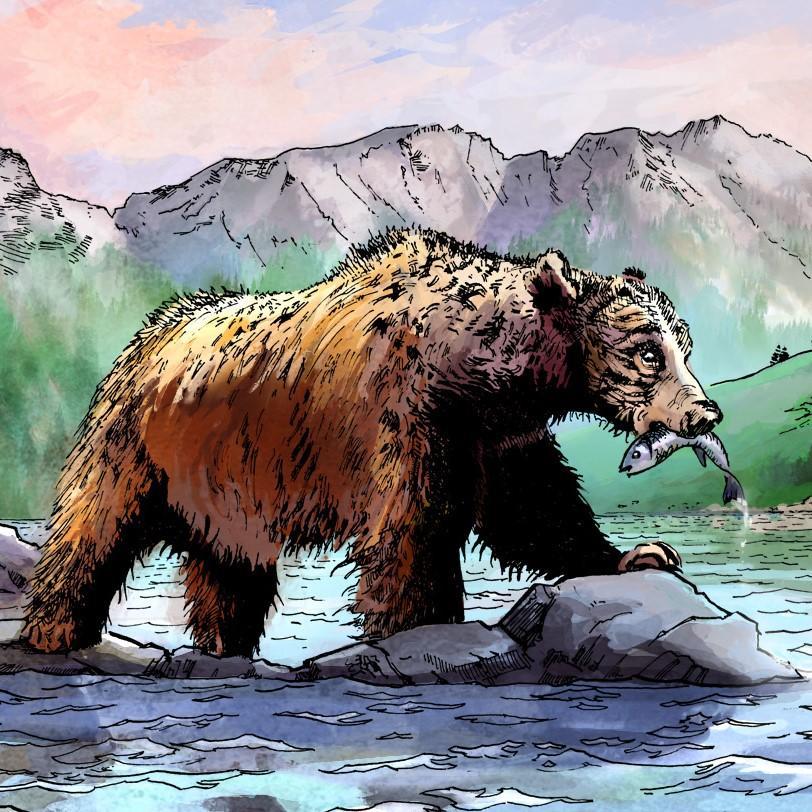 Rye IPA 75cl - Brasserie Skumenn